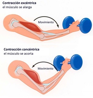 contracciones musculares